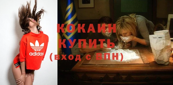 гашик Белокуриха