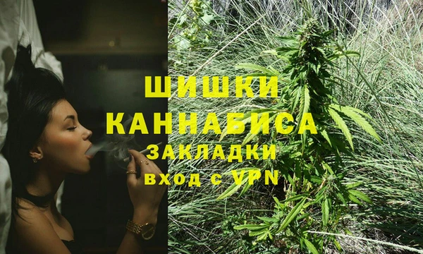 гашик Белокуриха