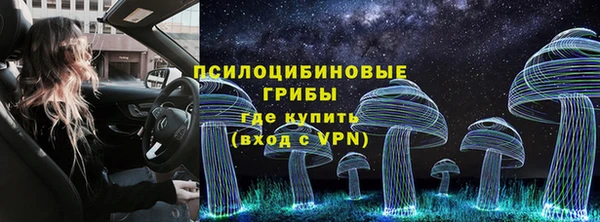 гашик Белокуриха