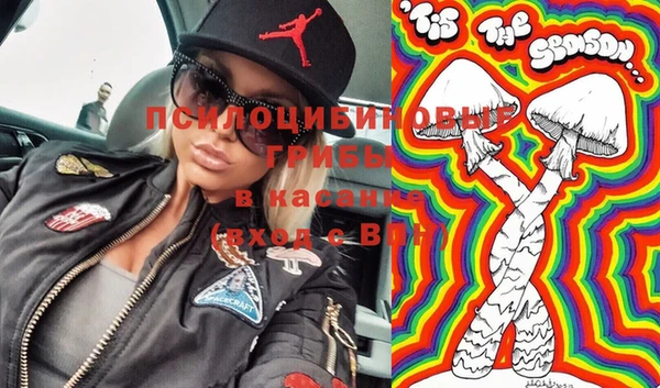 PSILOCYBIN Строитель