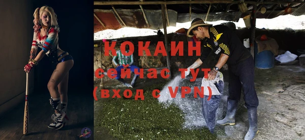 гашик Белокуриха