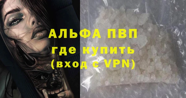 гашик Белокуриха
