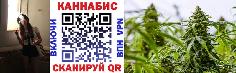 Конопля сатива  Кумертау 